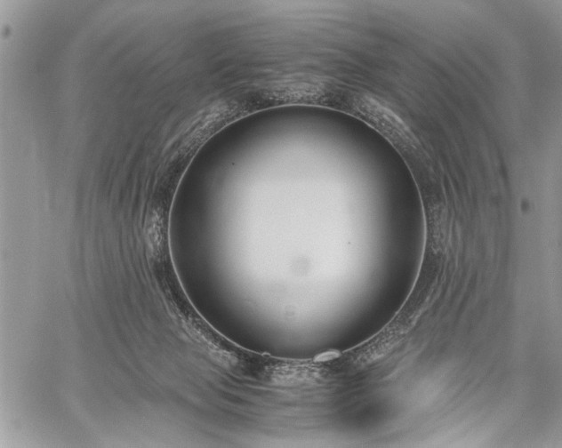 X0000059800077200510211102