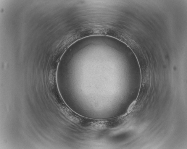 X0000059800078200510211102