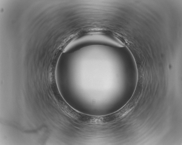 X0000059800080200510211102