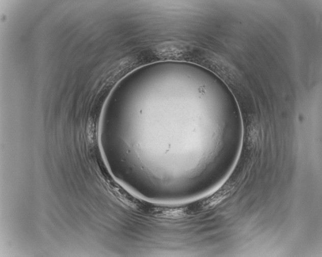 X0000059800081200510211102