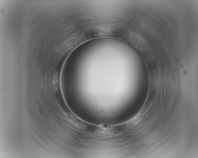 X0000059800082200510211102