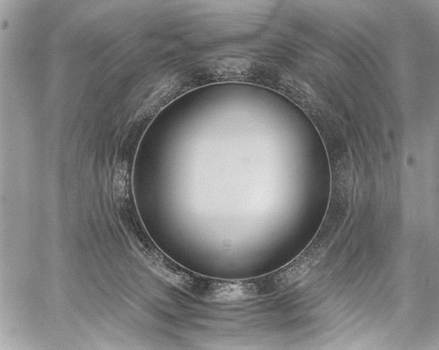 X0000059800083200510211102