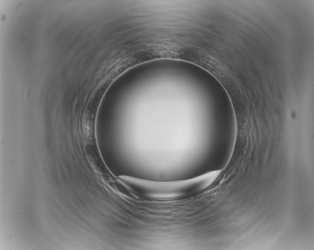 X0000059800084200510211102