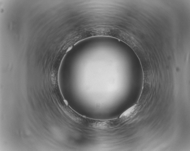 X0000059800086200510211102