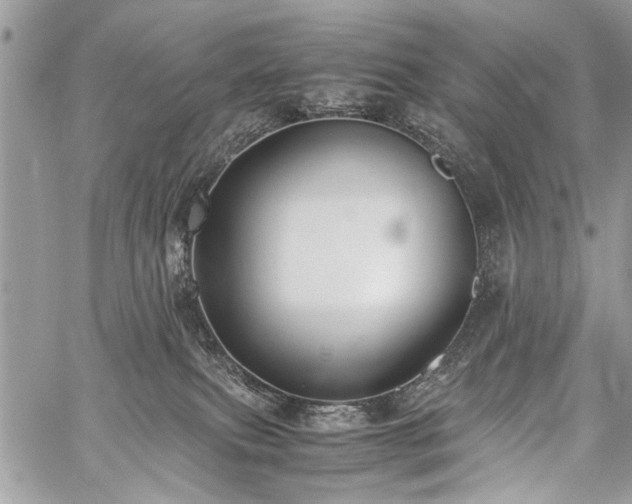 X0000059800087200510211102