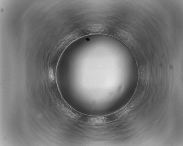 X0000059800089200510211102