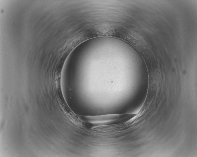 X0000059800090200510211102