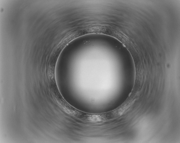 X0000059800091200510211102