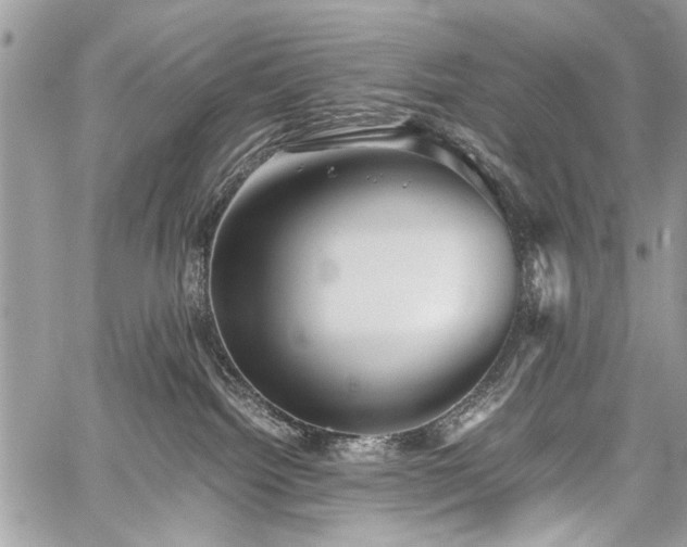 X0000059800092200510211102