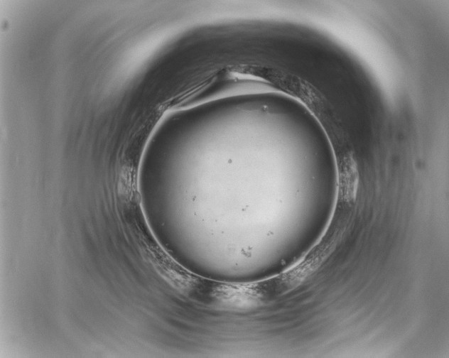 X0000059800093200510211102