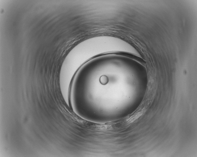 X0000059800096200510211102