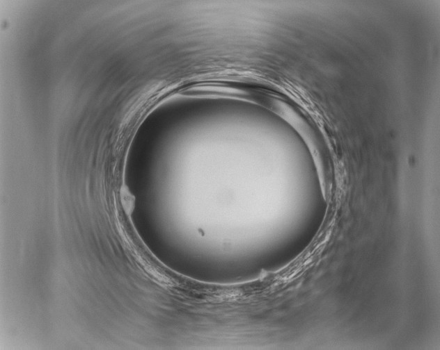 X0000059800097200510211102