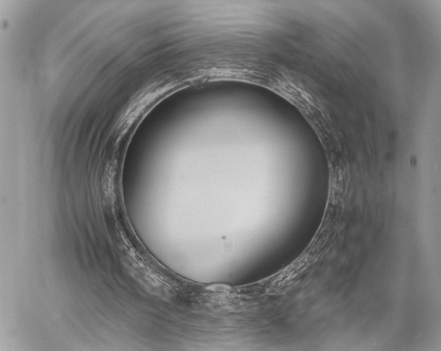 X0000059800098200510211102