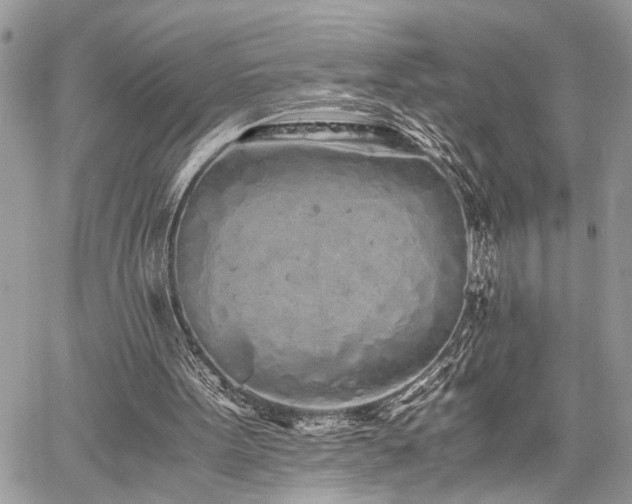 X0000059800099200510211102