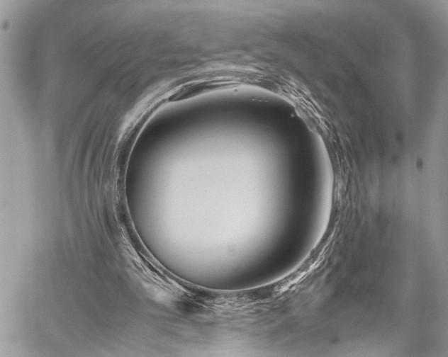 X0000059800101200510211102