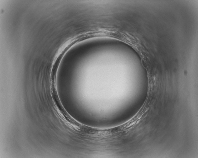 X0000059800102200510211102