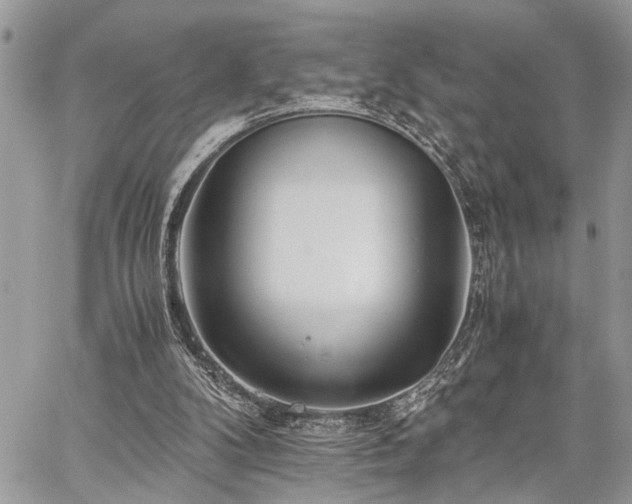 X0000059800104200510211102