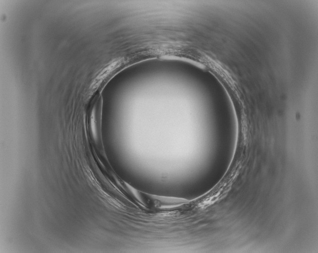 X0000059800105200510211102