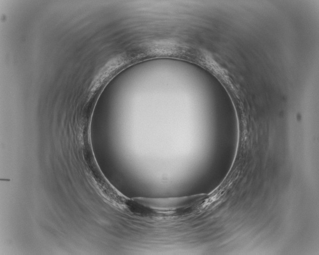 X0000059800106200510211102