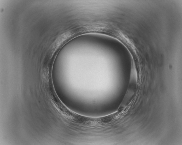 X0000059800107200510211102