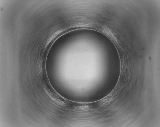 X0000059800108200510211101