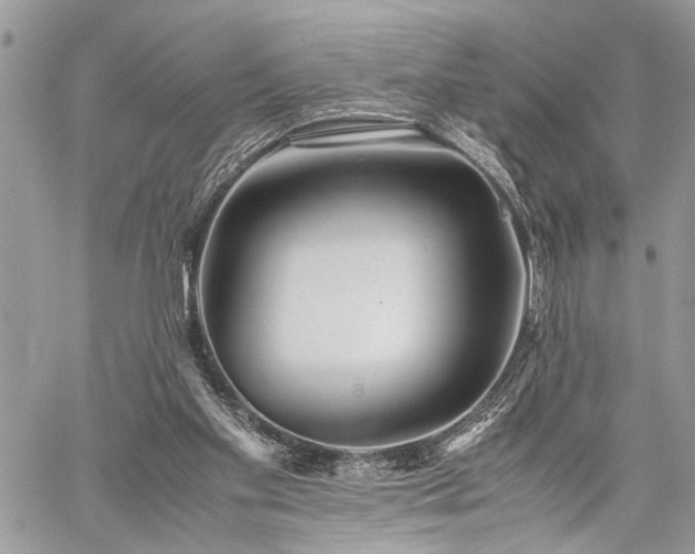 X0000059800109200510211101