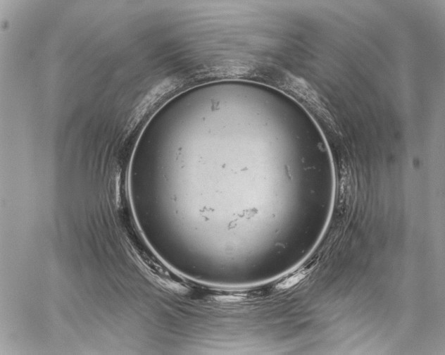 X0000059800110200510211101