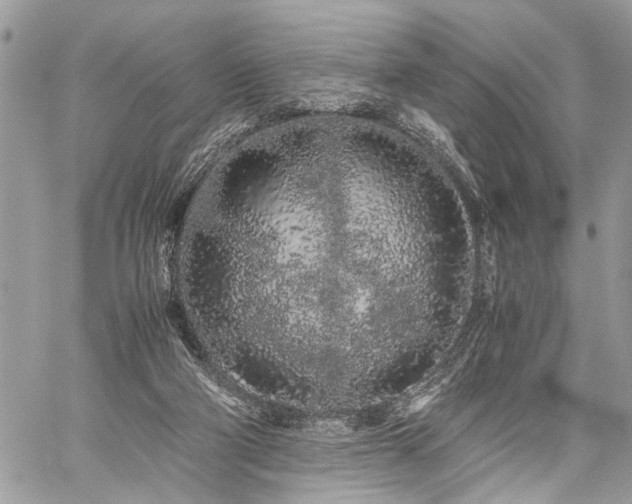 X0000059800114200510211101