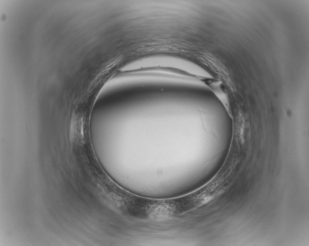 X0000059800115200510211101