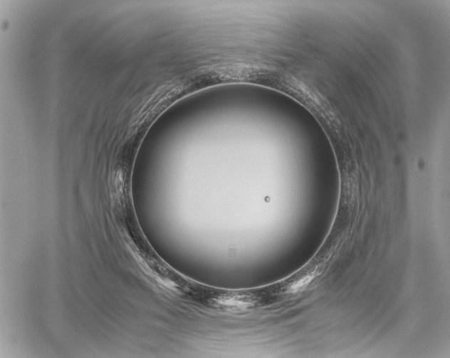 X0000059800117200510211101