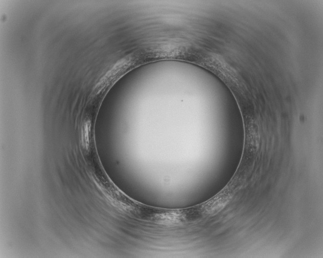 X0000059800118200510211101