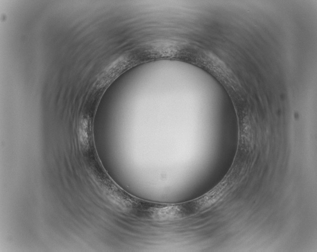 X0000059800122200510211101