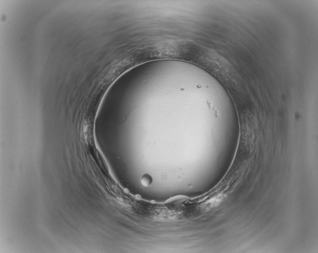 X0000059800123200510211101