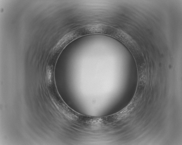 X0000059800124200510211101