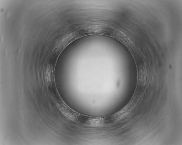 X0000059800126200510211101