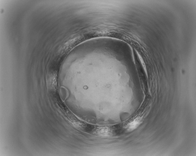 X0000059800127200510211101