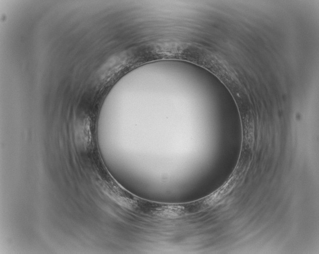 X0000059800128200510211101