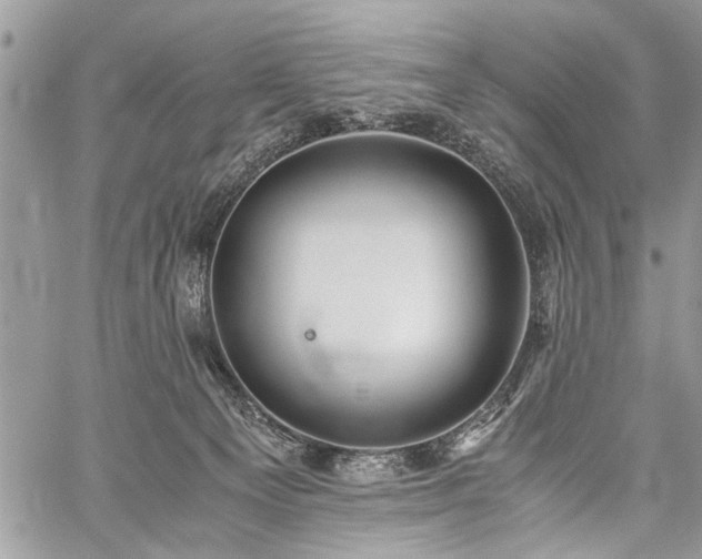 X0000059800129200510211101