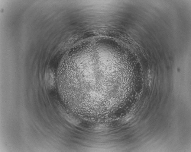 X0000059800130200510211101