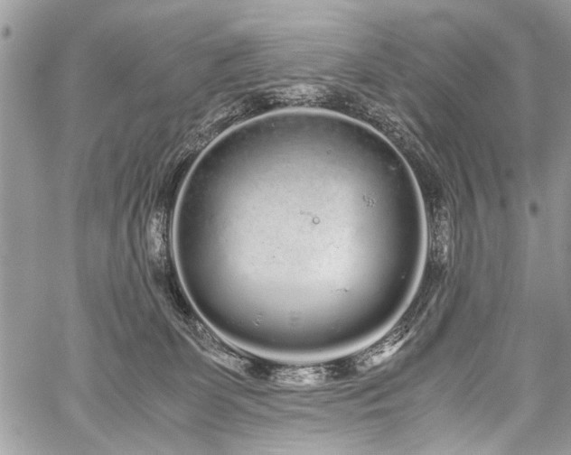 X0000059800131200510211101