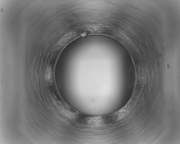 X0000059800132200510211101