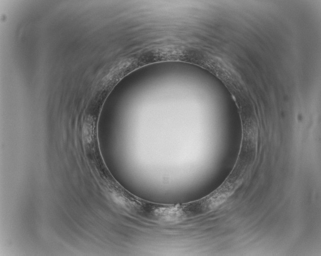 X0000059800133200510211101