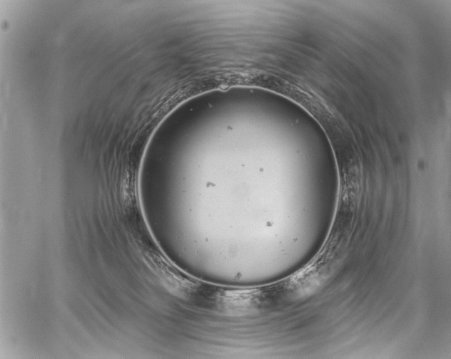 X0000059800134200510211101