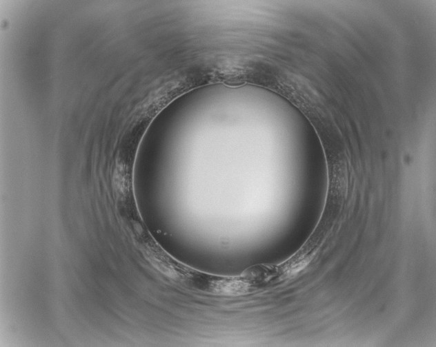 X0000059800135200510211101