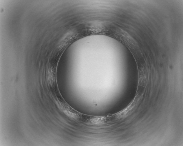 X0000059800136200510211101