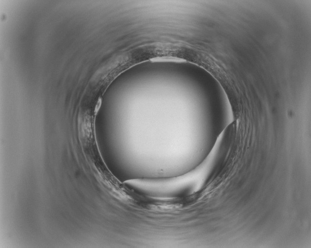 X0000059800137200510211101