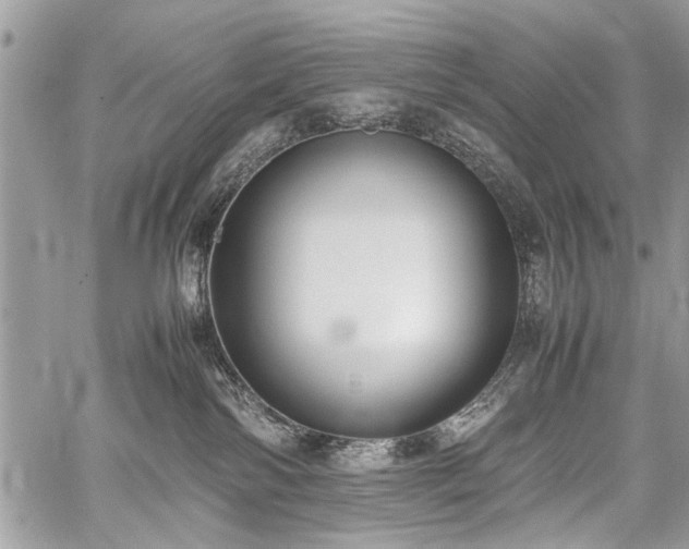 X0000059800138200510211101