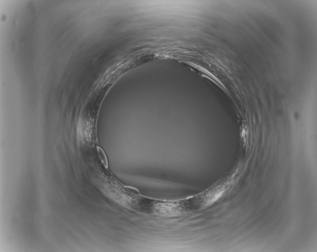 X0000059800139200510211101