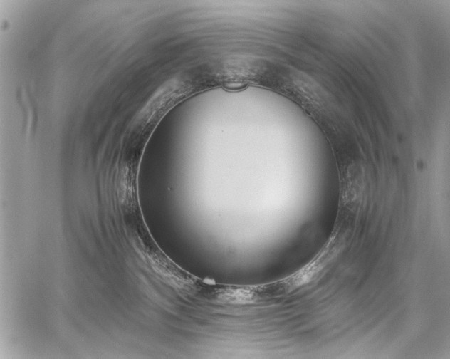 X0000059800140200510211101