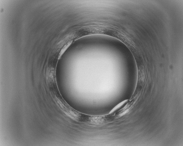 X0000059800141200510211101